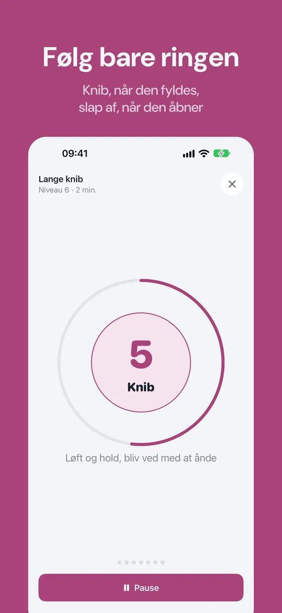 Skærmbillede af Keglo 2