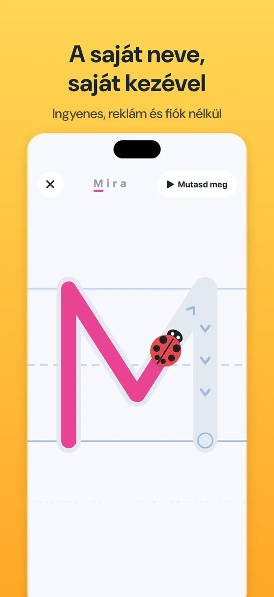 Tracebug képernyőkép 6