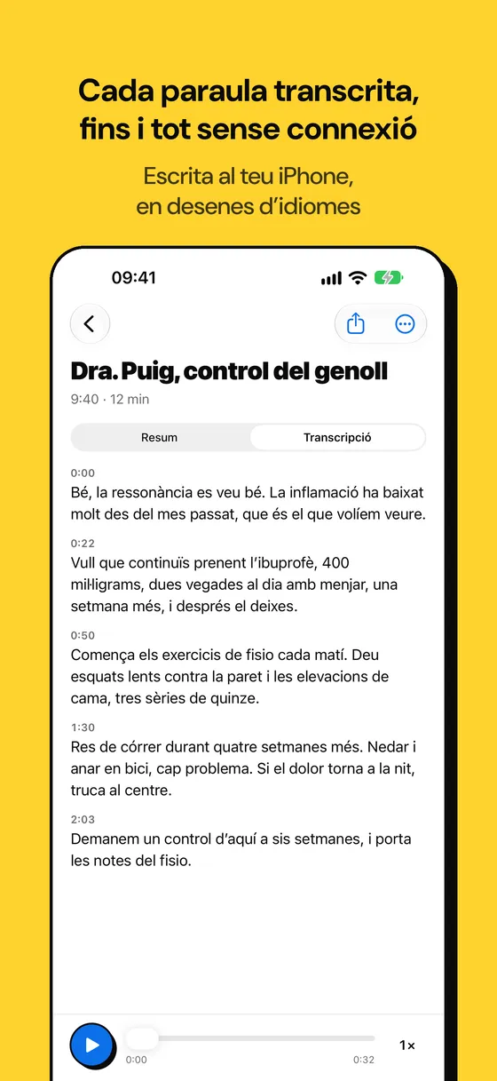 Captura del Voicejar 2