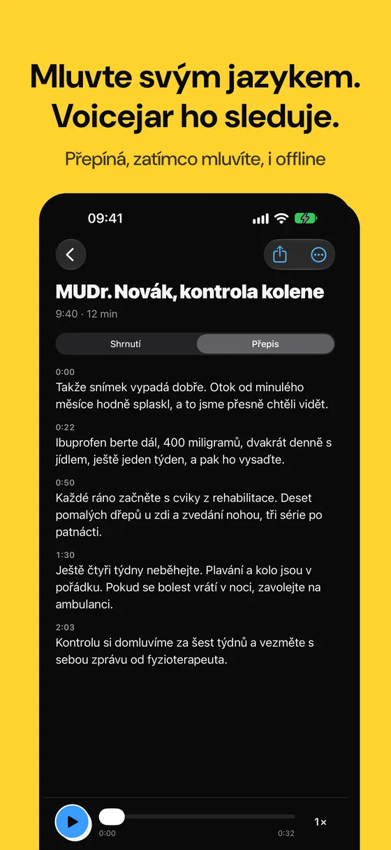 Snímek obrazovky Voicejar 6