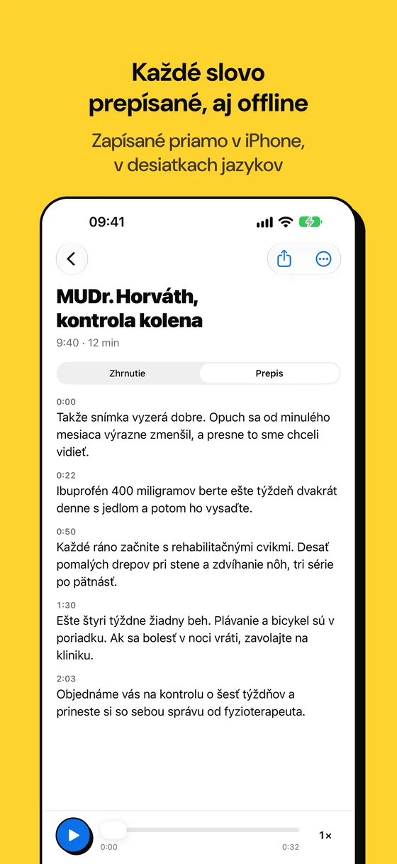 Snímka obrazovky Voicejar 2