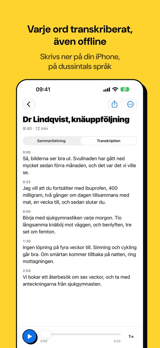 Skärmbild av Voicejar 2