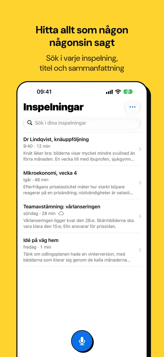 Skärmbild av Voicejar 4