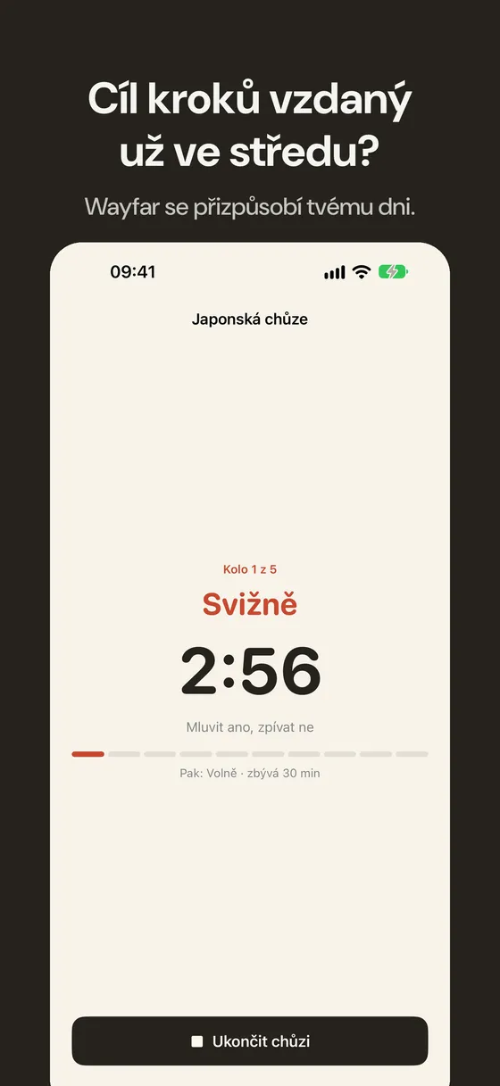 Snímek obrazovky Wayfar 1