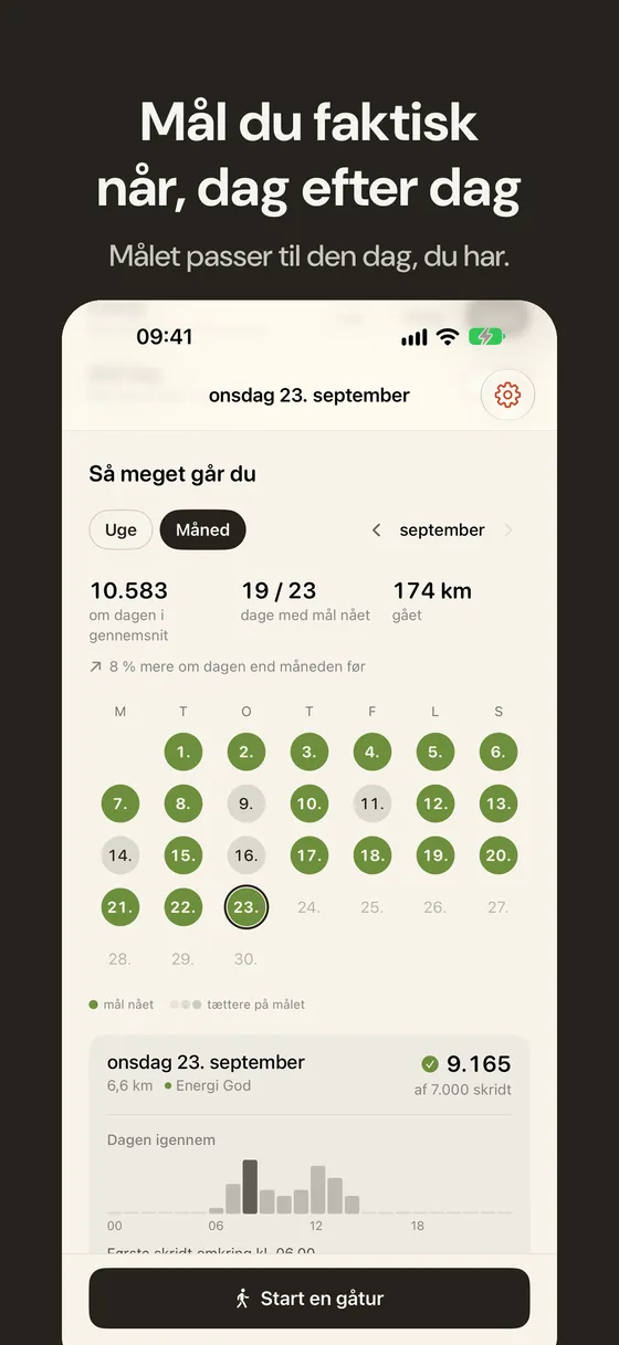 Wayfar skærmbillede 3