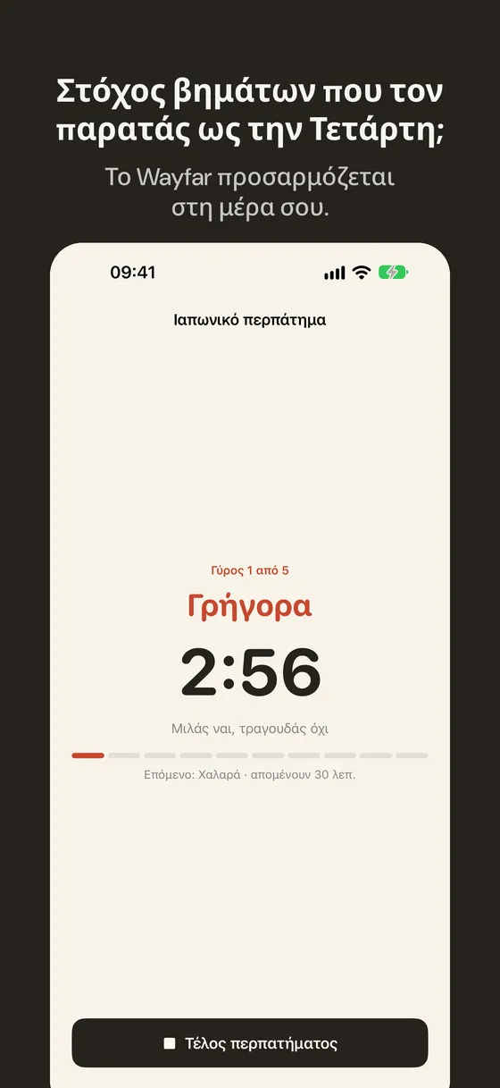 Στιγμιότυπο οθόνης Wayfar 1