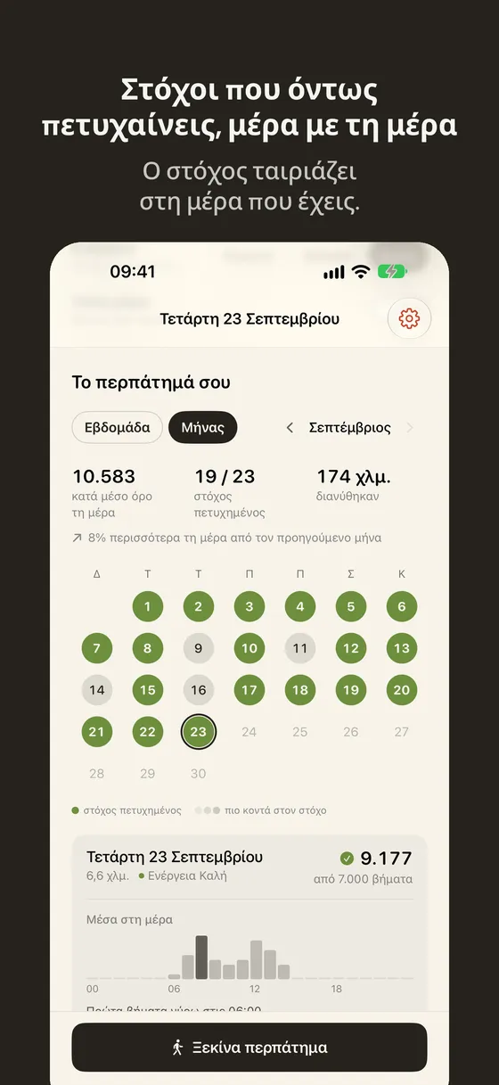 Στιγμιότυπο οθόνης Wayfar 3
