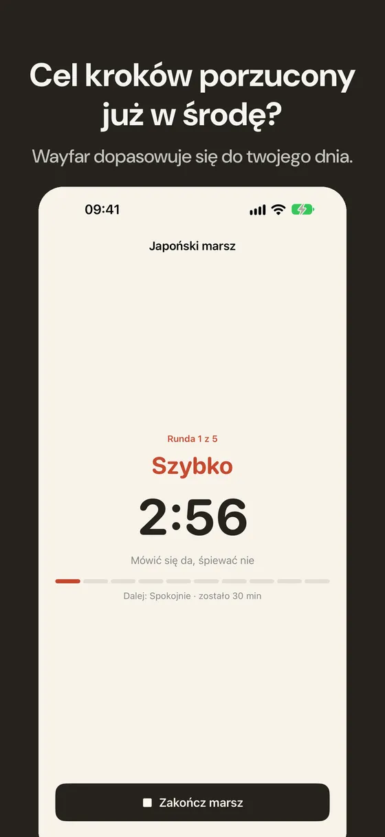 Zrzut ekranu Wayfar 1