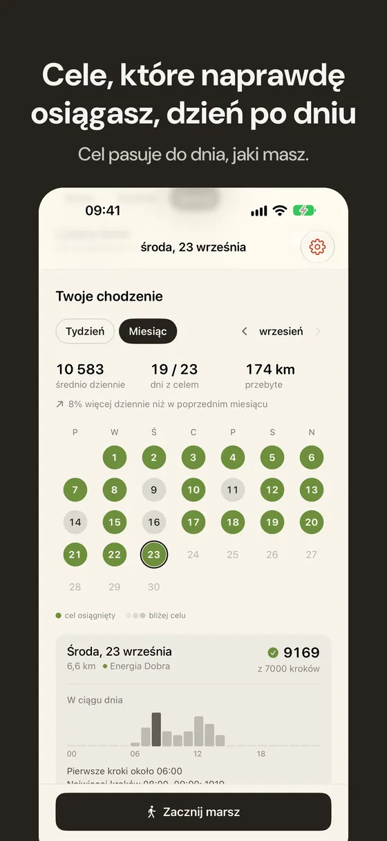 Zrzut ekranu Wayfar 3