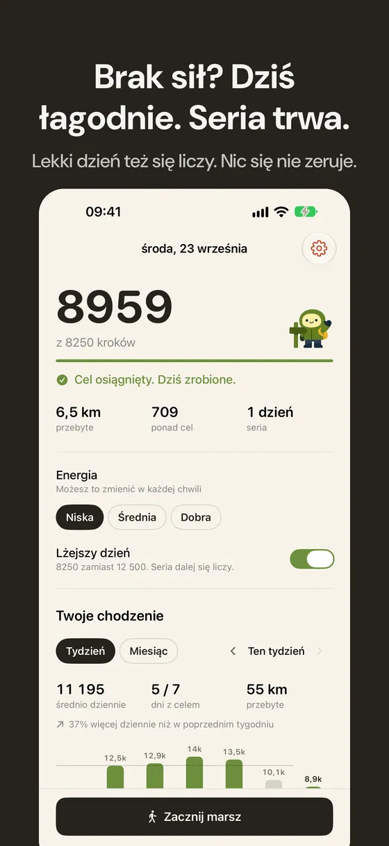 Zrzut ekranu Wayfar 4