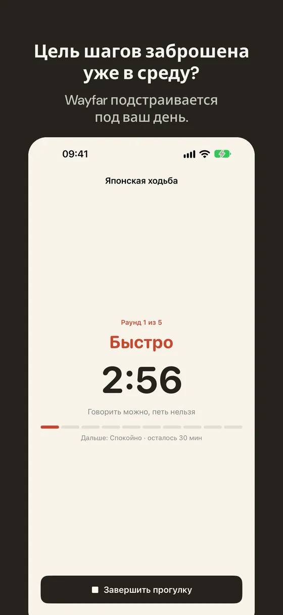 Снимок экрана Wayfar 1