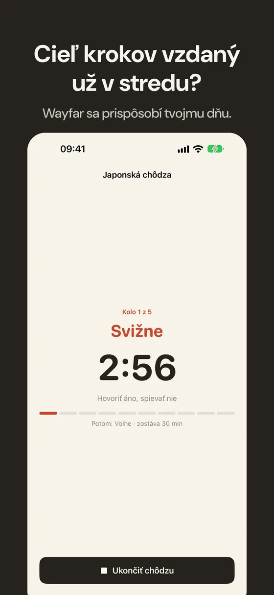 Snímka obrazovky Wayfar 1